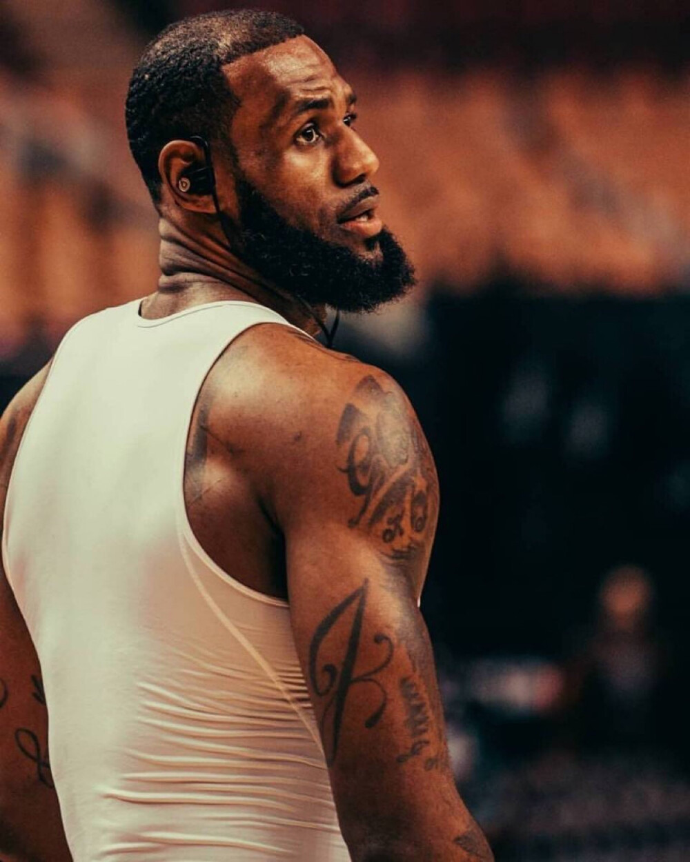 一步放大 一步放大