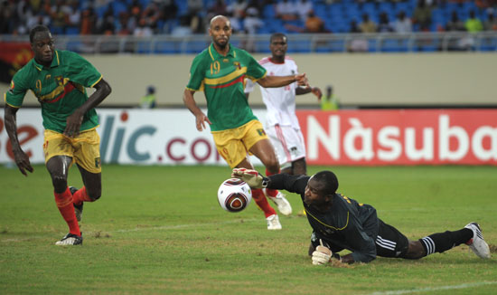 一个成熟的 一个成熟的